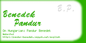 benedek pandur business card